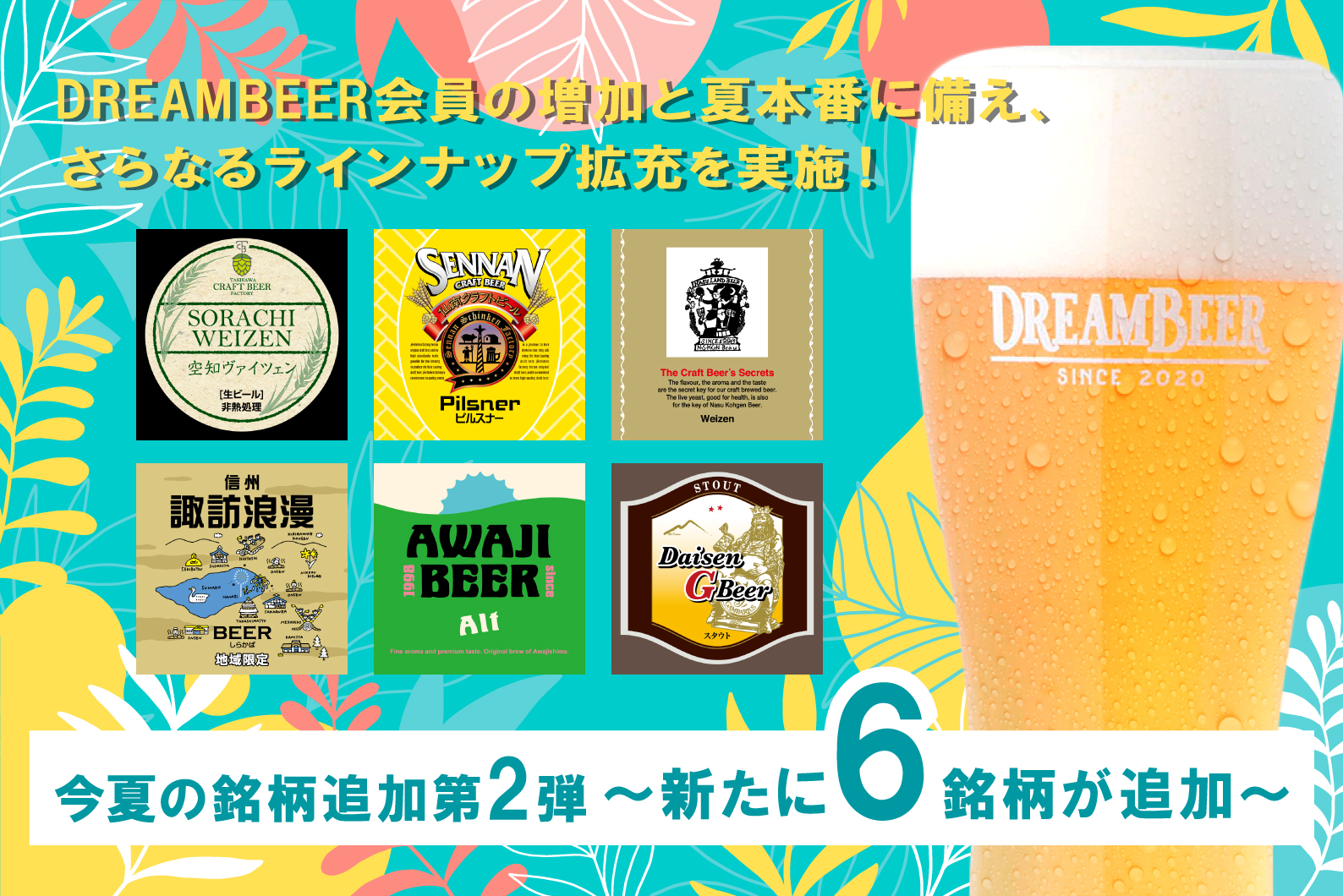 DREAMBEER会員の増加と夏本番に備え、さらなるラインナップ拡充を実施